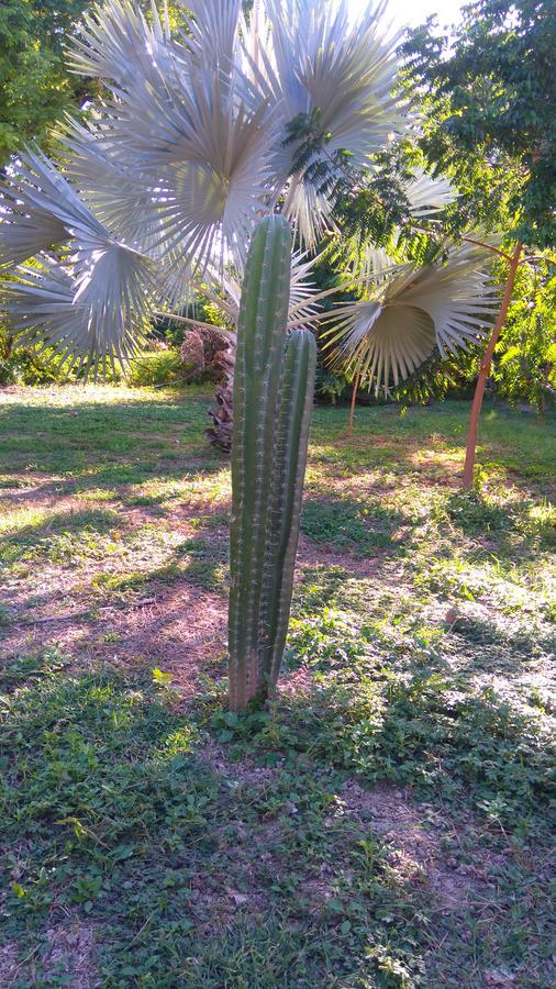 Arizona Ranch Hotel Girardot Exterior photo